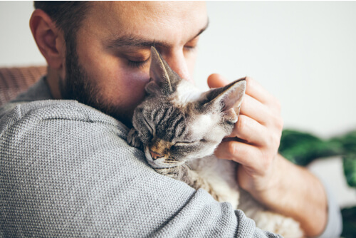 Ein Mann mit geschlossenen Augen umarmt eine graue Katze und hält sie dicht an sein Gesicht. Aurora Tierkrematorium